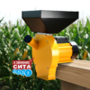 ag corn 555 blank