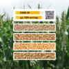 ag grain3 blank
